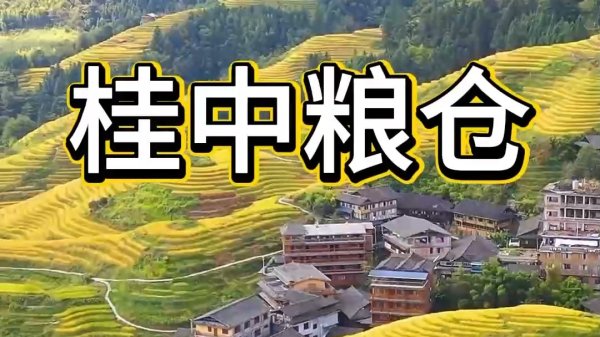配资门户的申请入口 老友粉、米粉、螺蛳粉，为什么广西人如此爱嗦粉