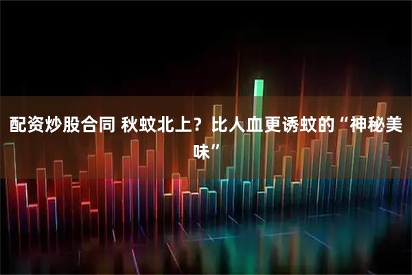 配资炒股合同 秋蚊北上？比人血更诱蚊的“神秘美味”